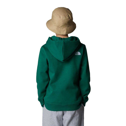 Green - Lifestyle - The North Face Boys Drew Peak Cotton Fleece Lined Relaxed Fit Hoodie