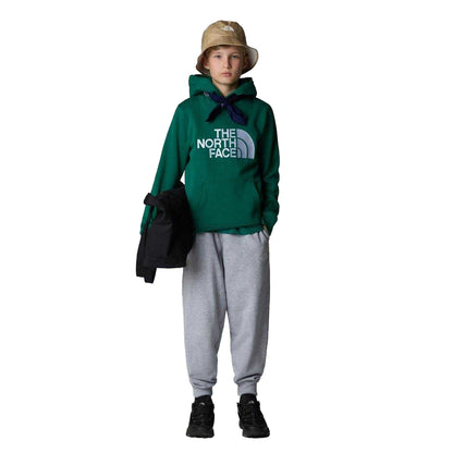 Green - Pack Shot - The North Face Boys Drew Peak Cotton Fleece Lined Relaxed Fit Hoodie