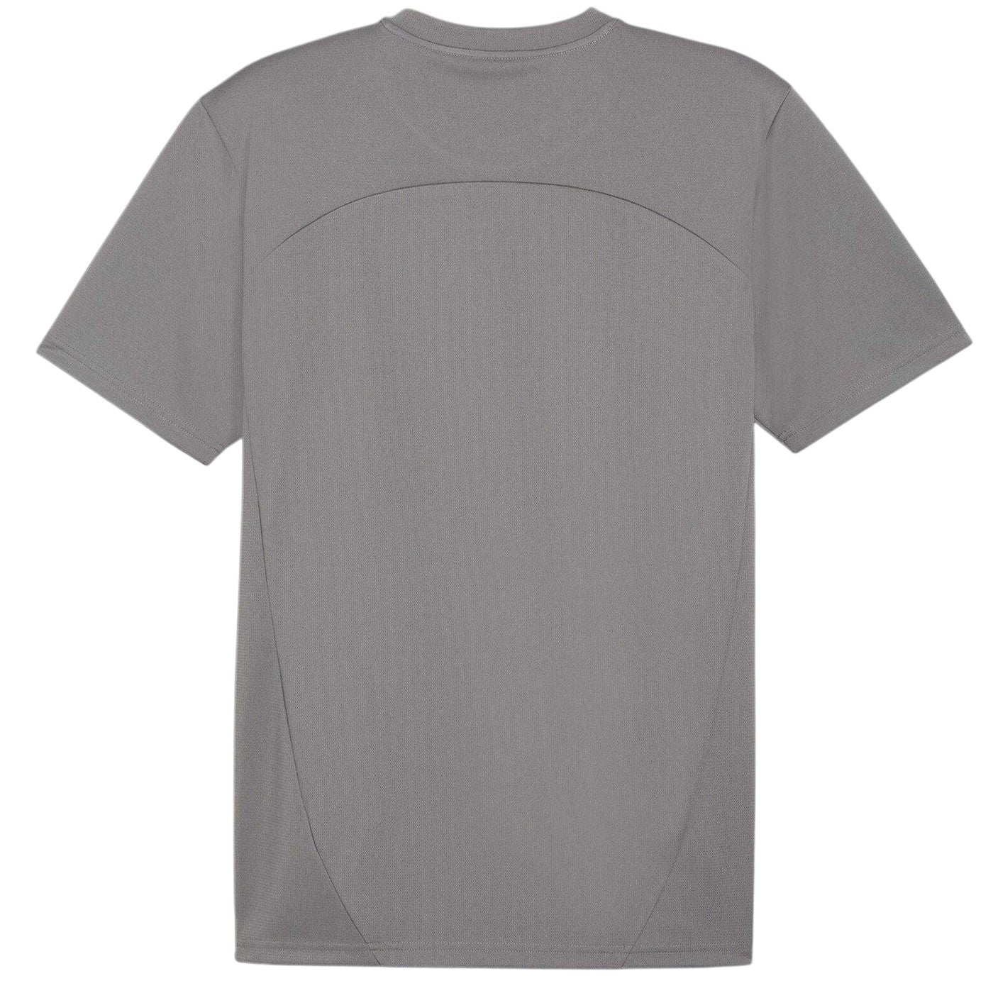 Iron - Back - Puma Mens TeamFinal Training T-Shirt