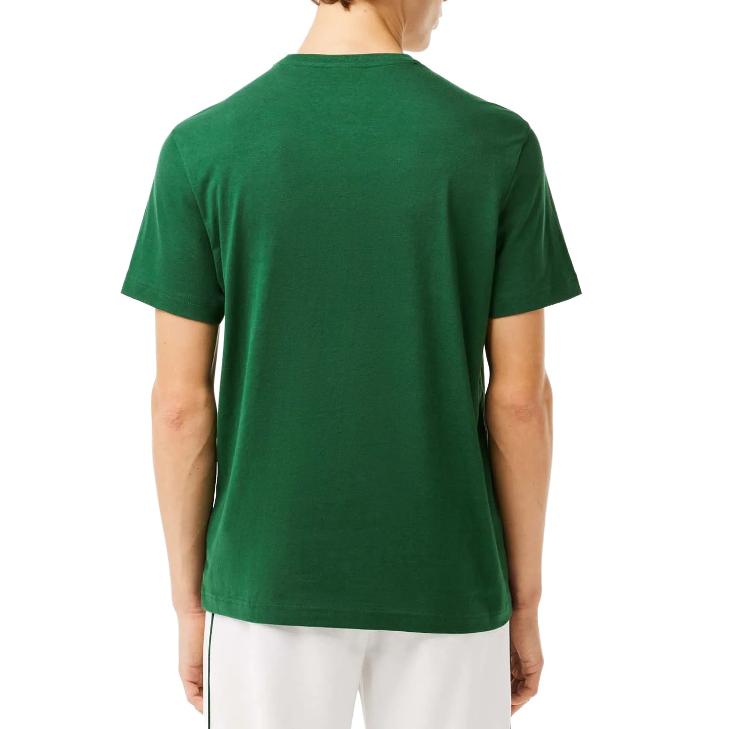 Green - Back - Lacoste Mens Pima Cotton Jersey Crew Neck T-Shirt