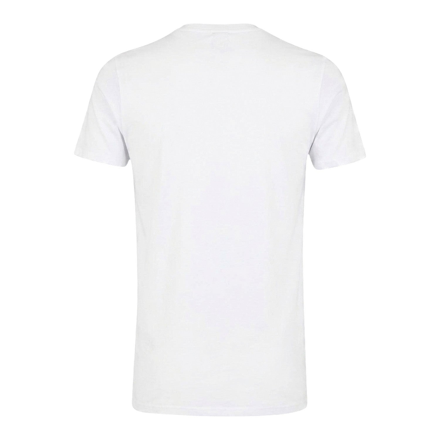 White - Back - Castore Unisex Adult FAI Shamrock Performance Modern T-Shirt