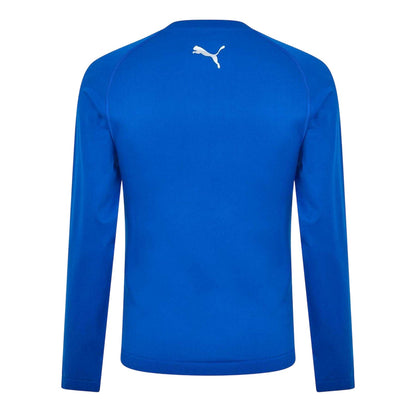 Blue - Back - Puma Mens Performance Plain Vent Athletic Shirt