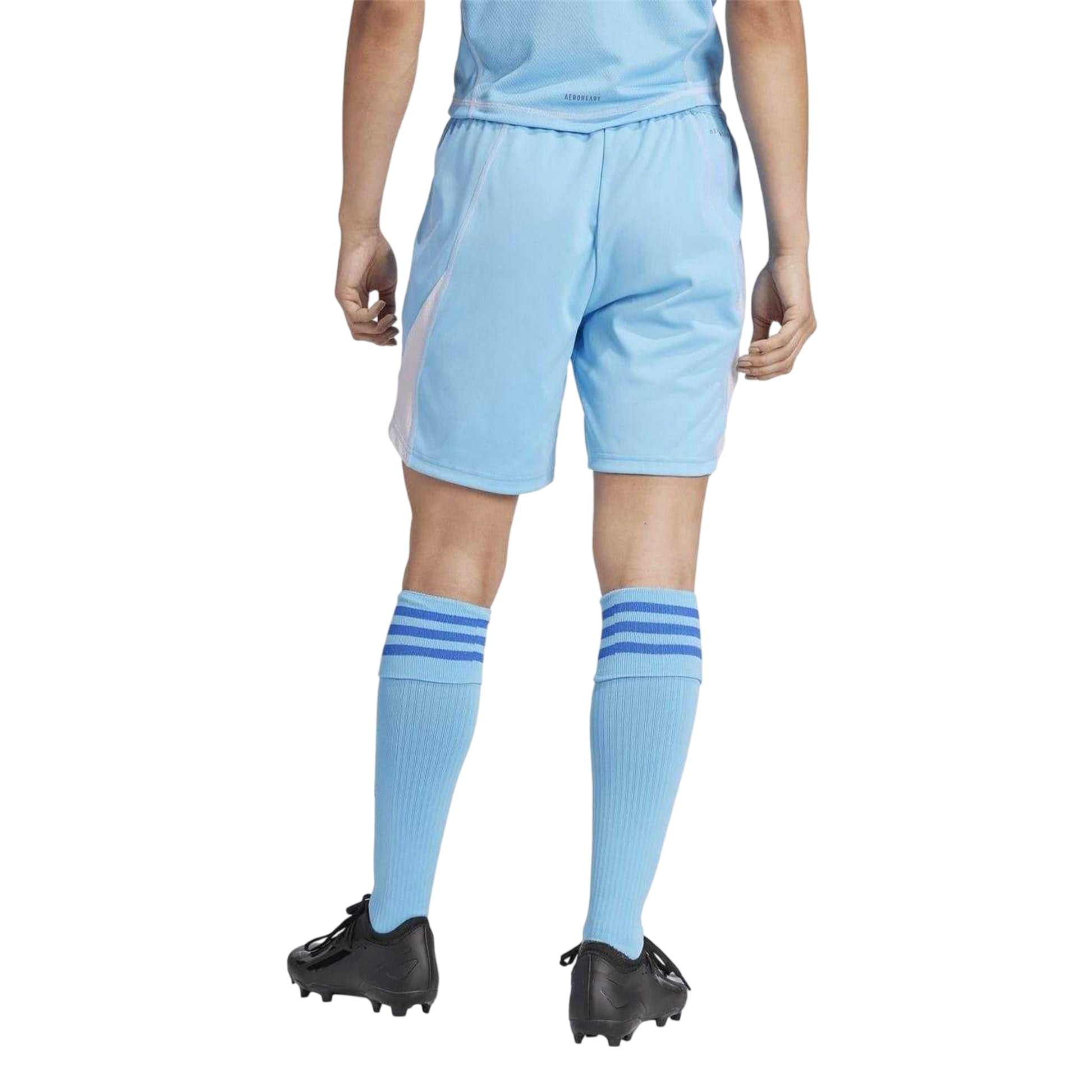 Blue Burst - Back - Adidas Unisex Adult T24 Goalkeeper Shorts
