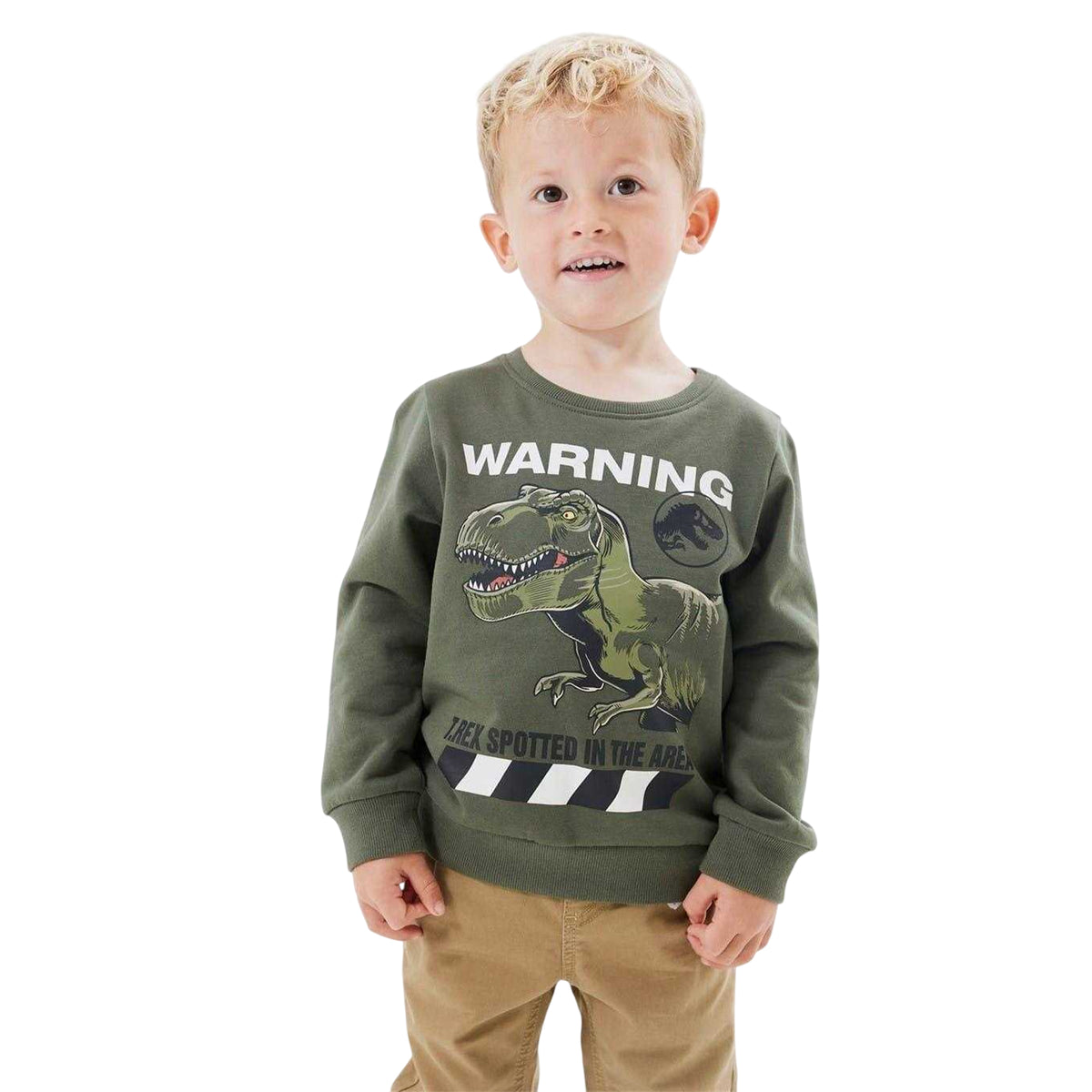 Beetle - Side - Name It Childrens-Kids Jurassic Park Sweatshirt