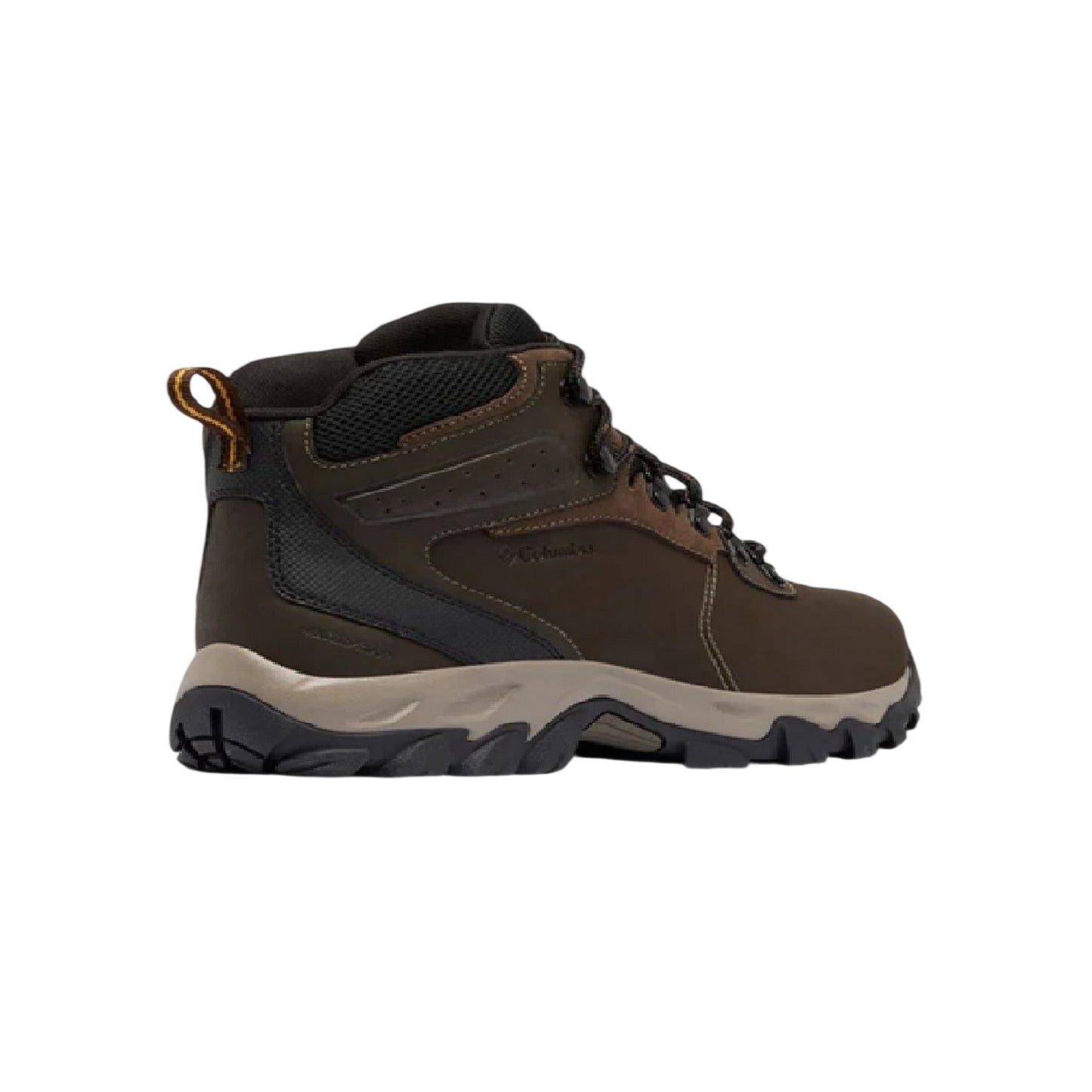 Brown - Back - Columbia Mens Newton Ridge Plus II Leather Waterproof Hiking Boots