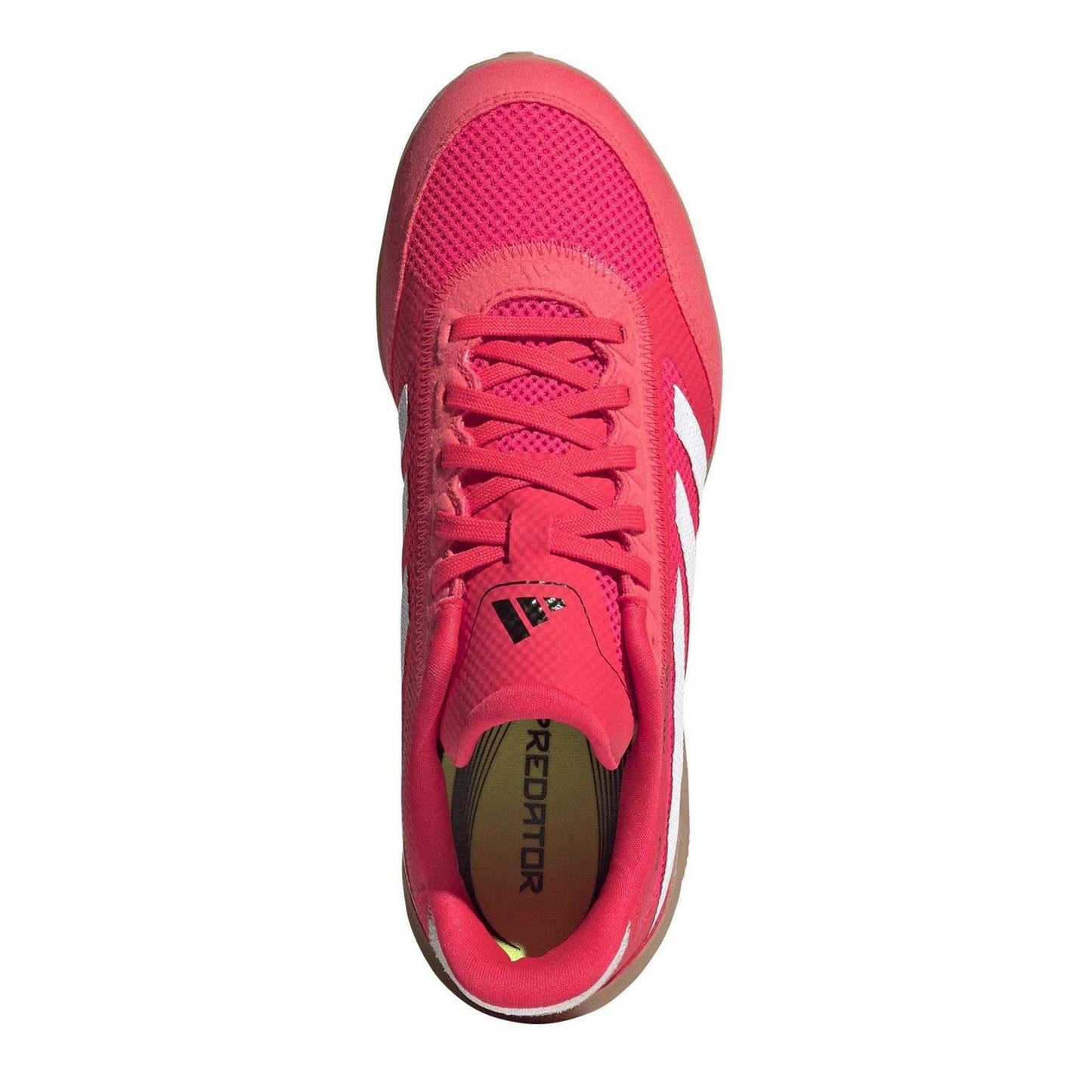 Lucid Red - Pack Shot - Adidas Mens Predator League Indoor Football Shoes