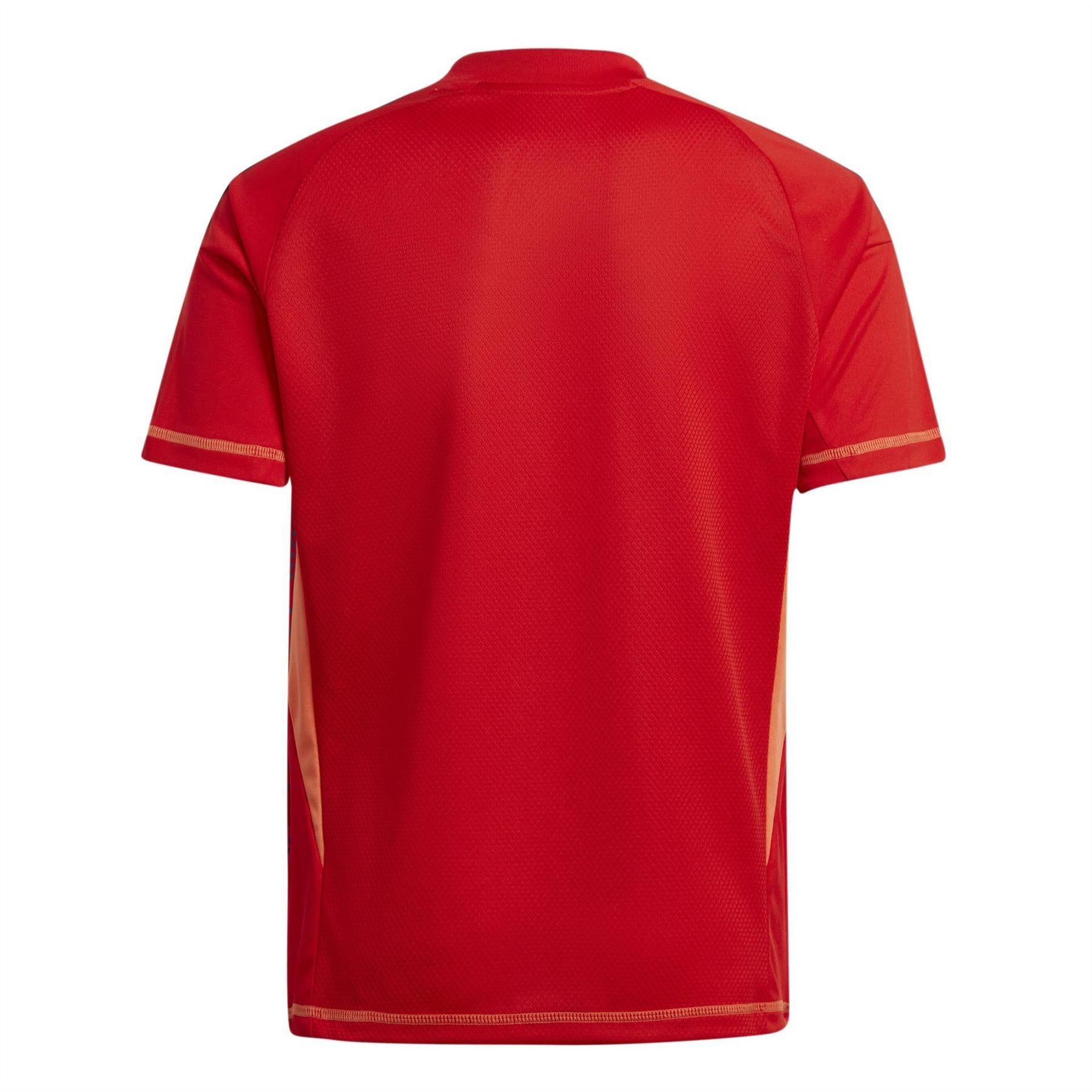 Red - Back - Adidas Childrens-Kids Juventus FC Goalkeeper Jersey