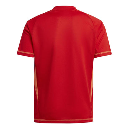 Red - Back - Adidas Childrens-Kids Juventus FC Goalkeeper Jersey