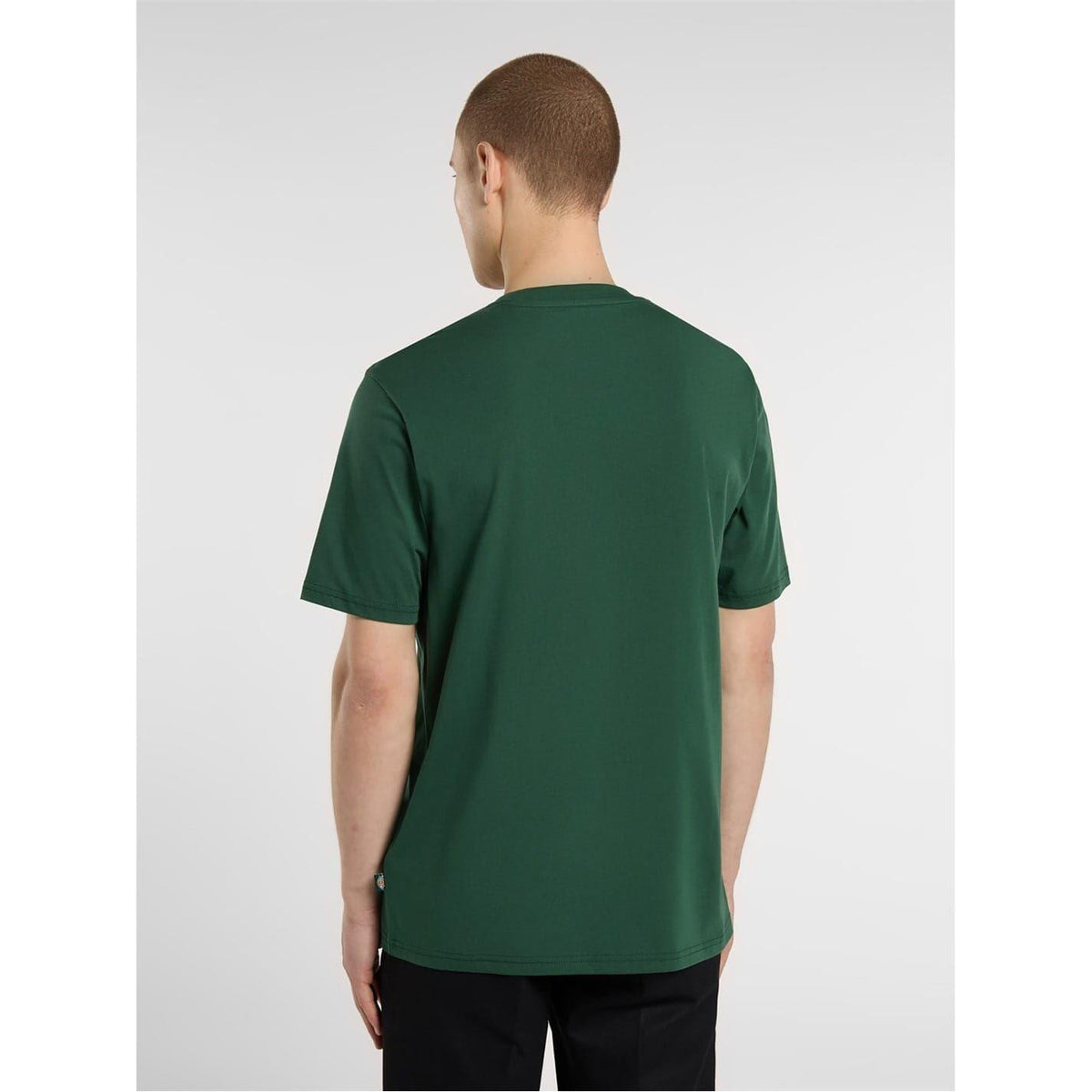 Needle Green - Lifestyle - Dickies Mens Mapleton Regular T-Shirt