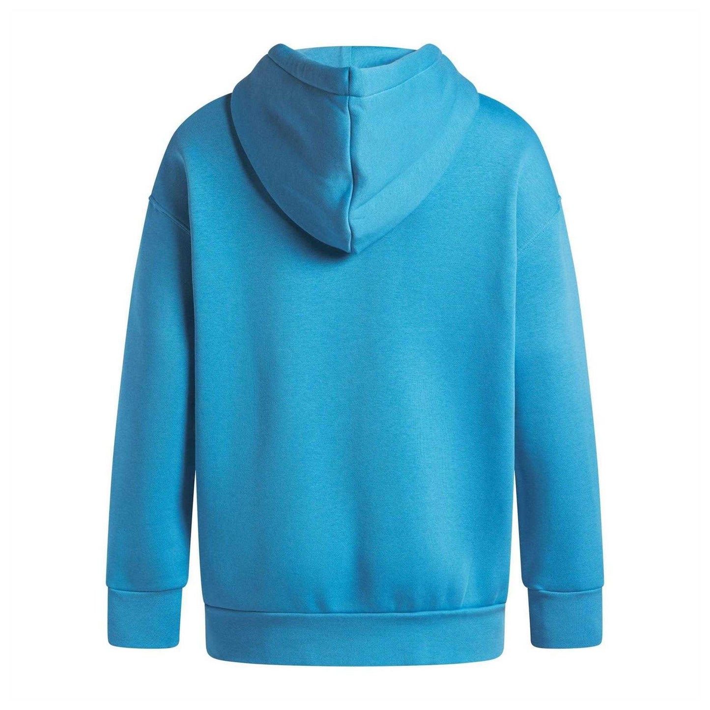 Blue - Back - Under Armour Womens-Ladies Icon Fleece Oversized Hoodie