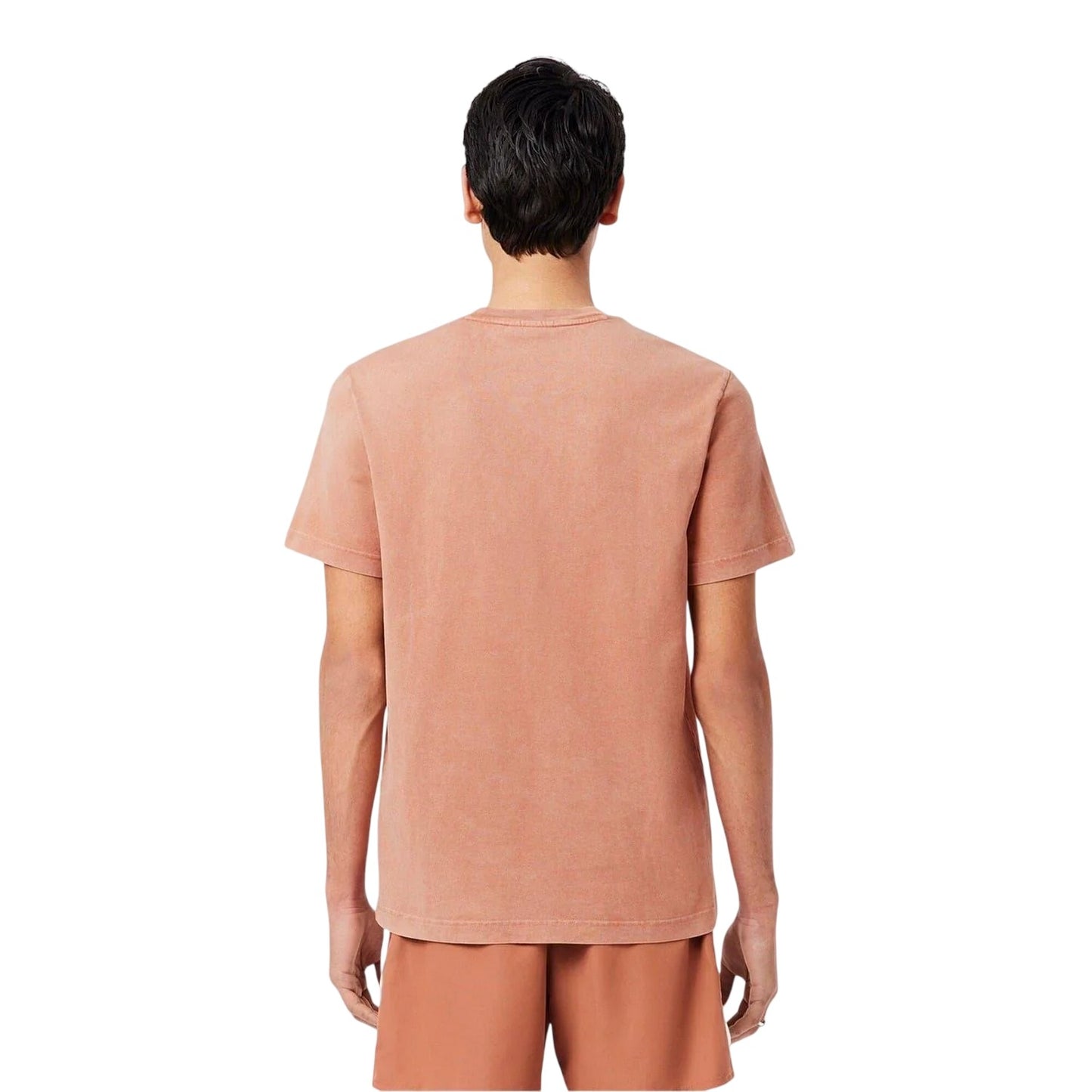 Latte - Back - Lacoste Mens Logo Crew Neck Regular T-Shirt