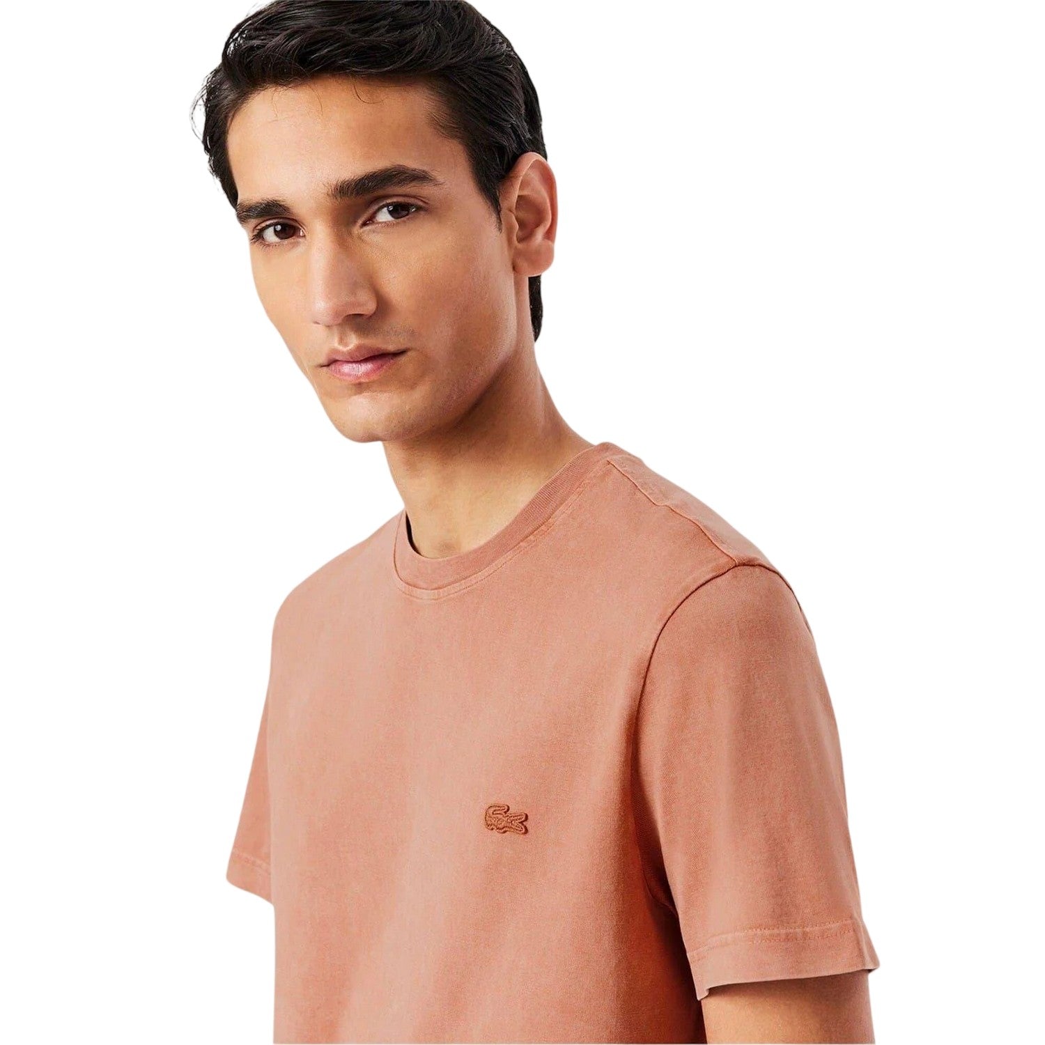Latte - Lifestyle - Lacoste Mens Logo Crew Neck Regular T-Shirt