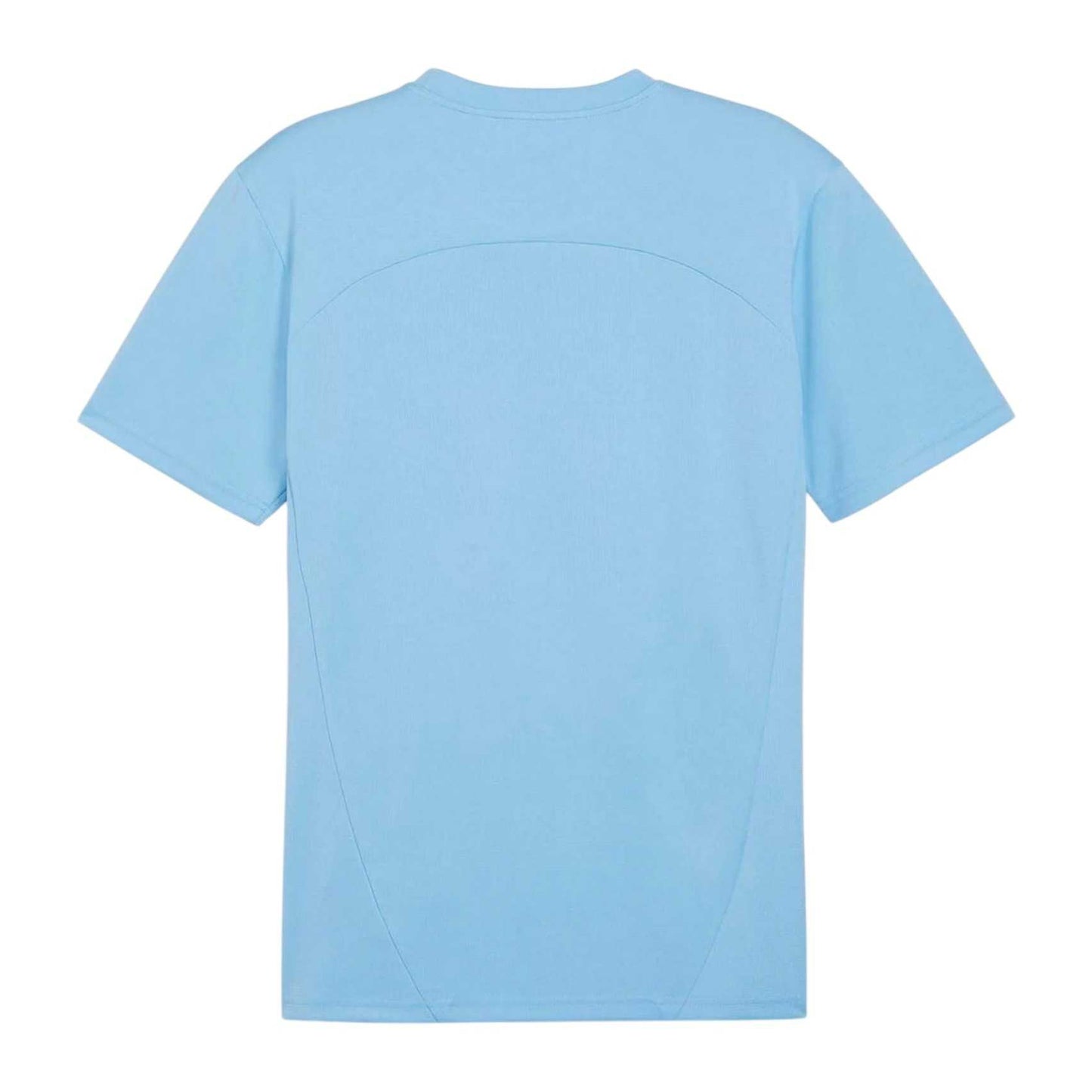 Blue - Side - Puma Mens TeamFinal Training Jersey