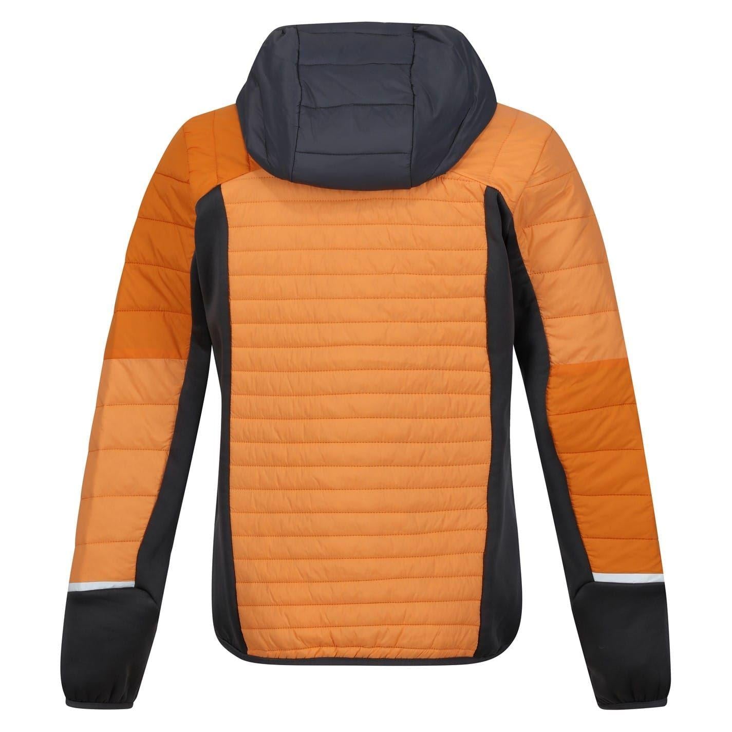 Peach Crush-Seal Grey - Back - Regatta Womens-Ladies Trutton Puffer Jacket