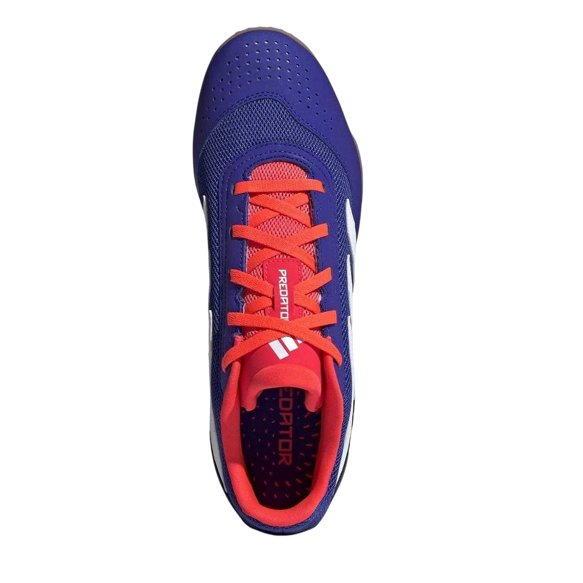 Blue-White - Lifestyle - Adidas Mens Predator Club Sala Indoor Football Shoes
