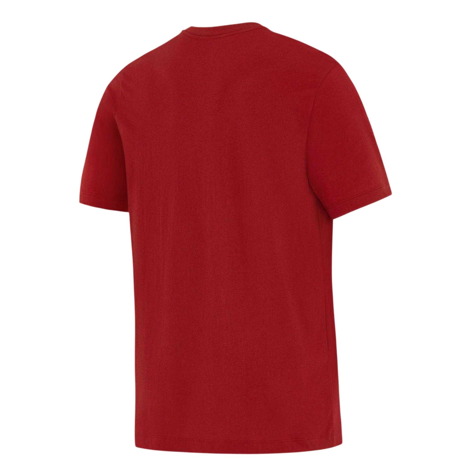 Pepper Red-White - Back - Nike Mens British & Irish Lions T-Shirt