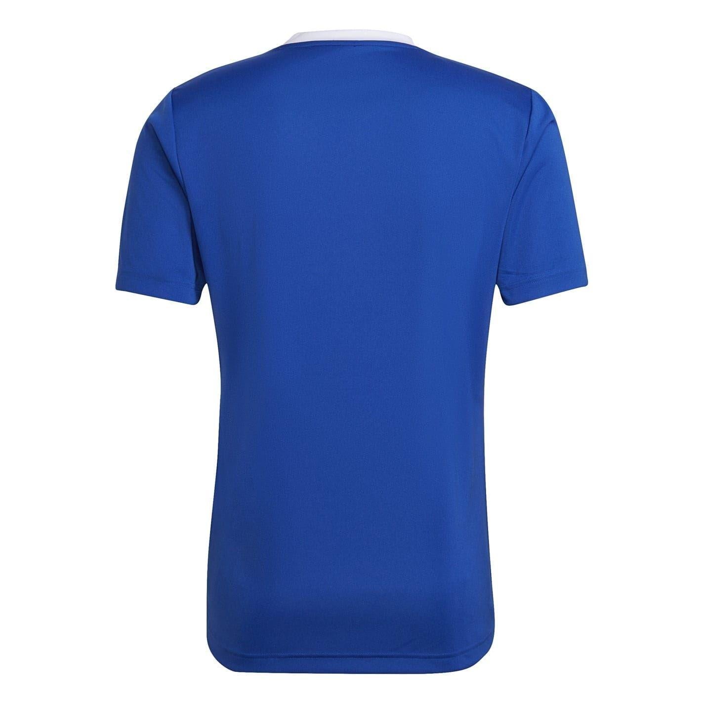 Royal Blue - Back - Adidas Mens Entrada 22 V Neck Training T-Shirt