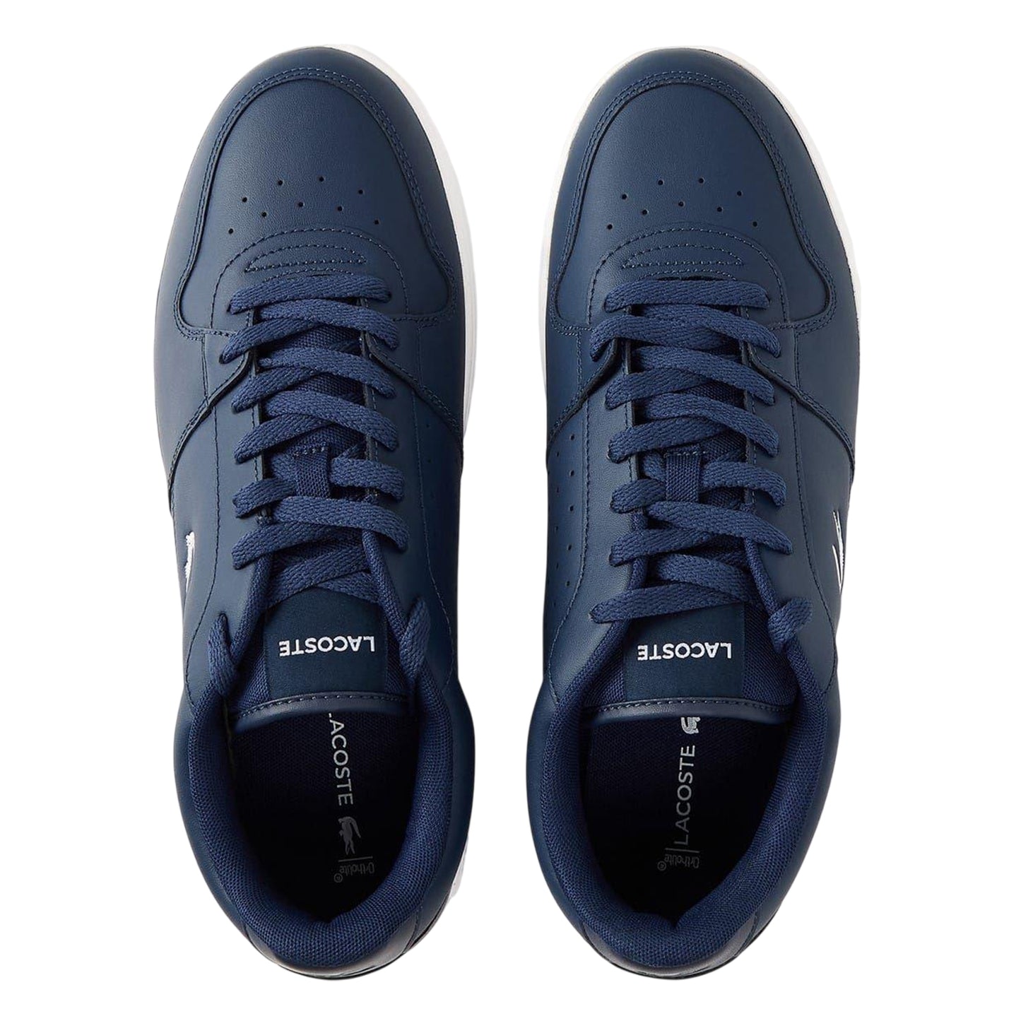 Navy-White - Side - Lacoste Mens Court Ace Shoes