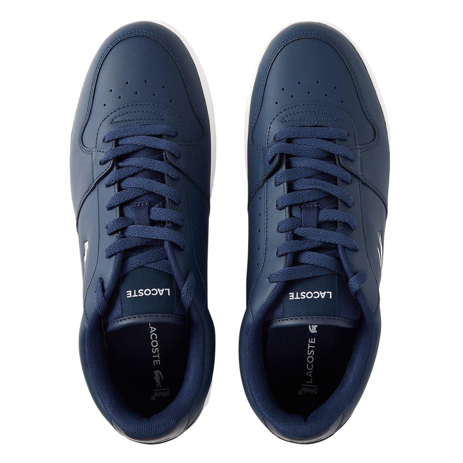 Navy-White - Side - Lacoste Mens Court Ace Shoes