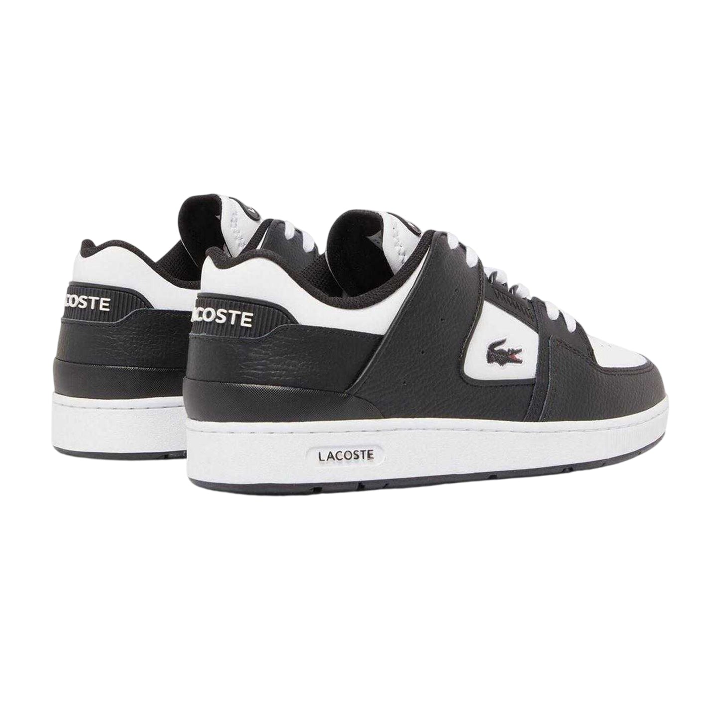 Black-White - Back - Lacoste Unisex Adult Court Cage Leather Trainers