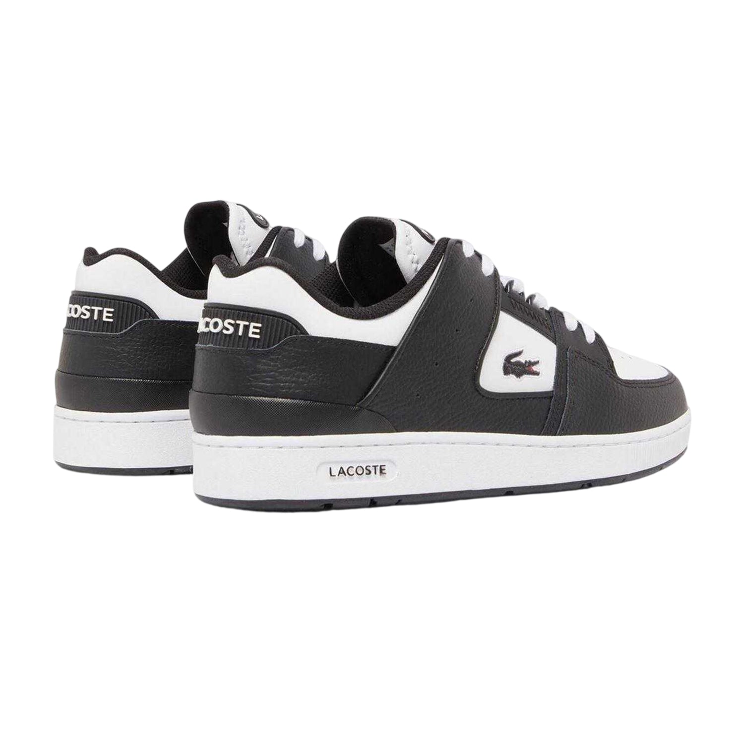 Black-White - Back - Lacoste Unisex Adult Court Cage Leather Trainers