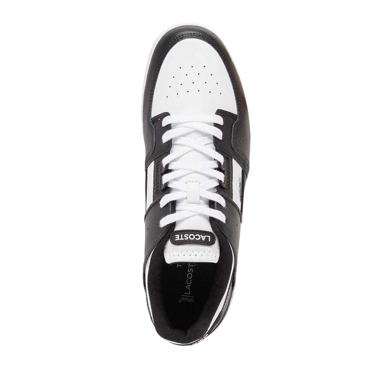 Black-White - Side - Lacoste Unisex Adult Court Cage Leather Trainers