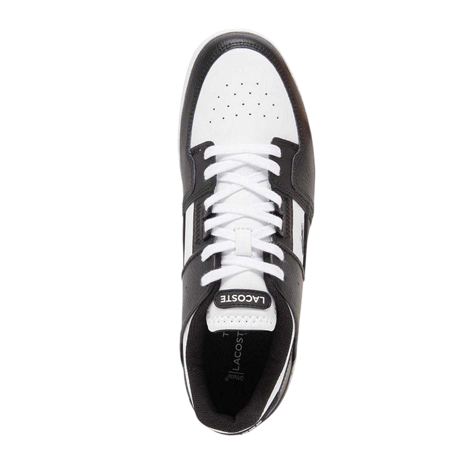 Black-White - Side - Lacoste Unisex Adult Court Cage Leather Trainers