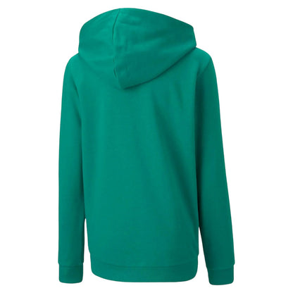 Green - Back - Puma Childrens-Kids TeamGoal 23 Casuals Drawstring Hoodie