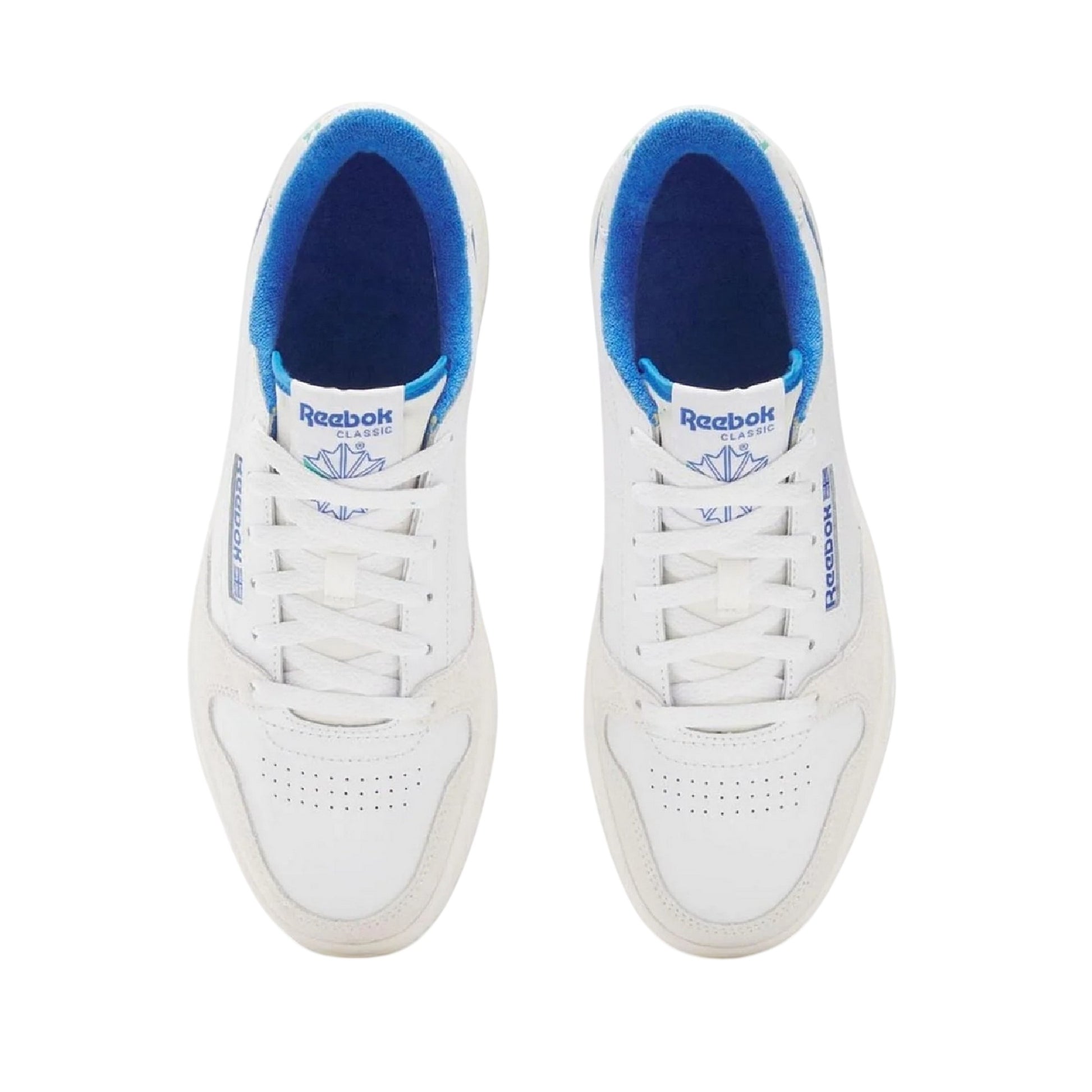 White-Blue - Lifestyle - Reebok Womens-Ladies Phase Leather Court Trainers