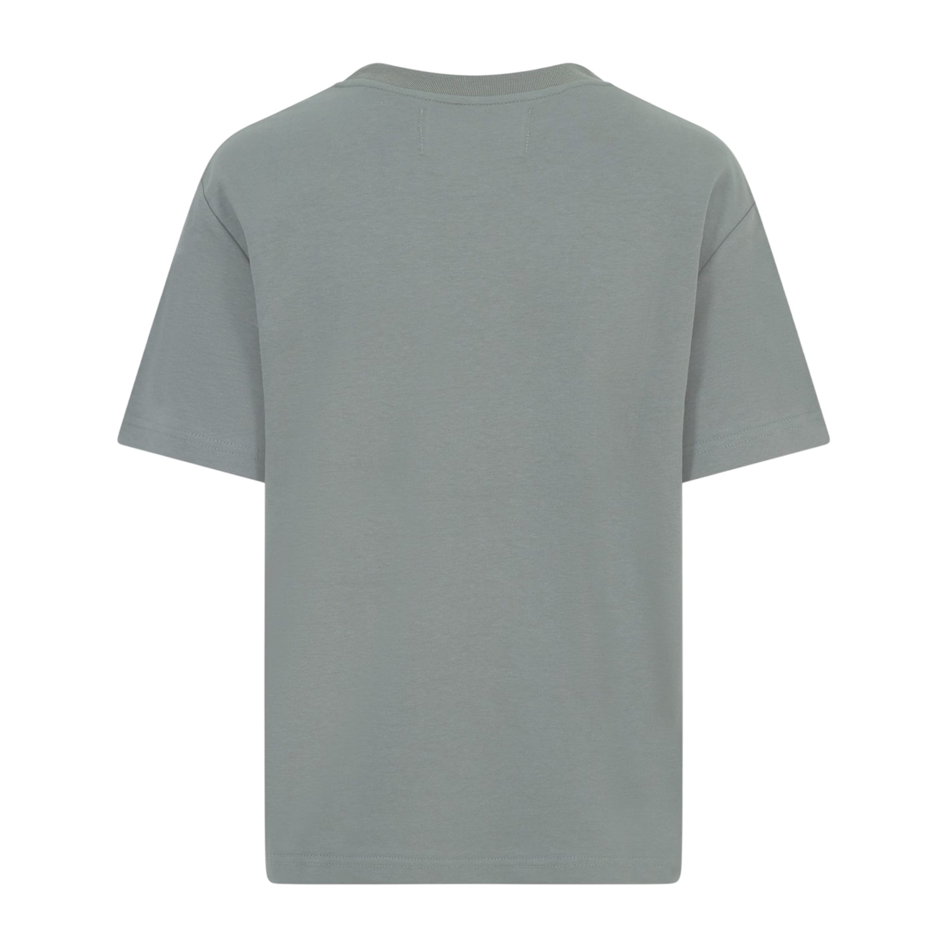 Sage - Back - Blank Essentials Womens-Ladies Newyork Graphic Print T-Shirt