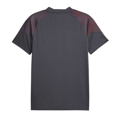 Grey-Purple - Back - Puma Mens 2023-24 Manchester City FC Training Football Jersey