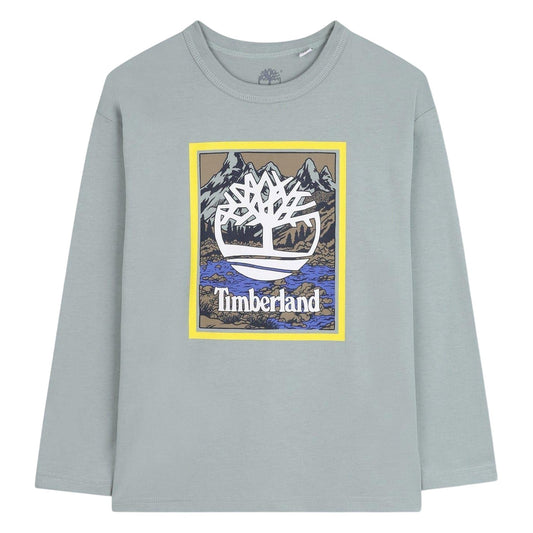 Grey - Front - Timberland Boys Mountain Logo T-Shirt
