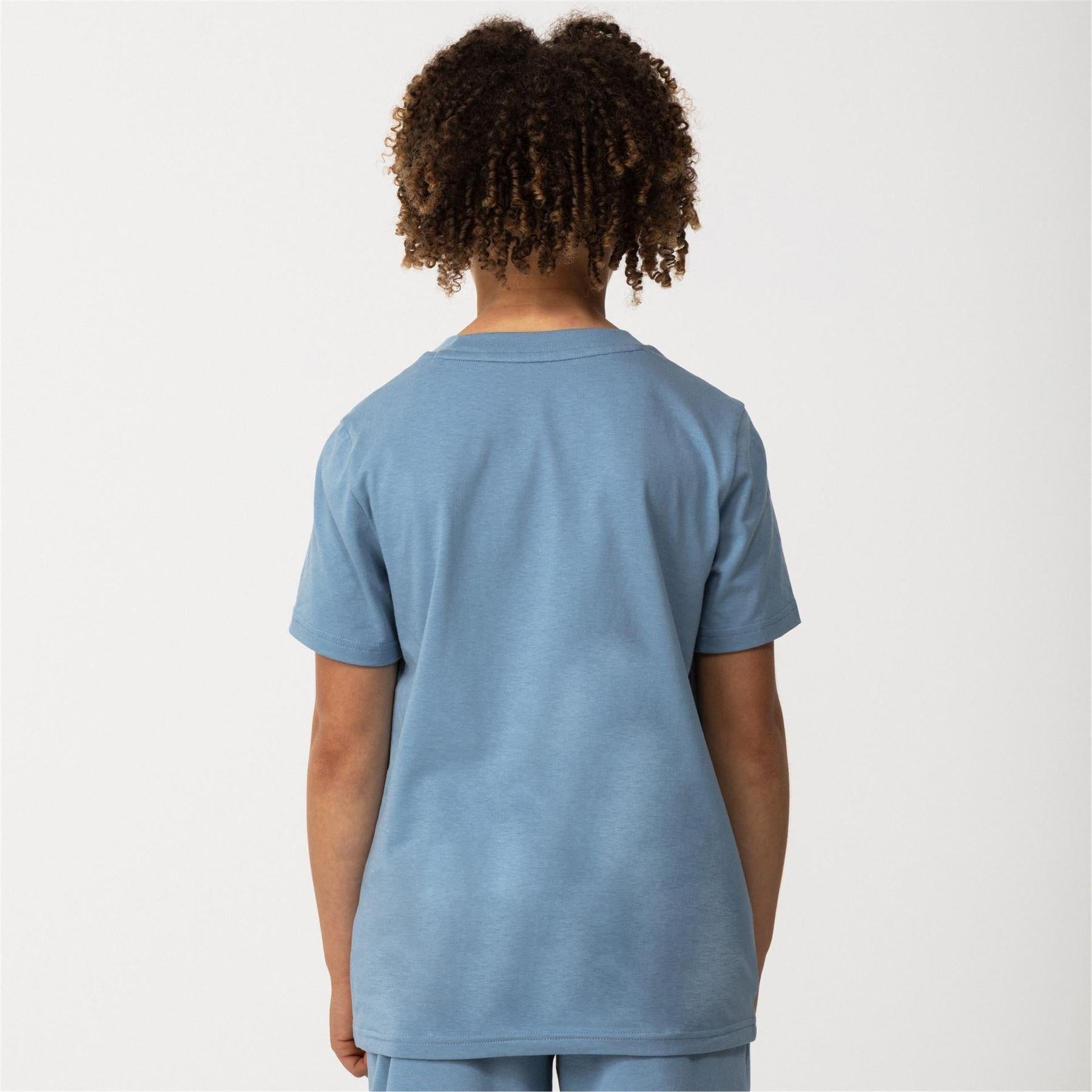 Zen Blue - Lifestyle - Puma Childrens-Kids Essentials Lab Logo T-Shirt