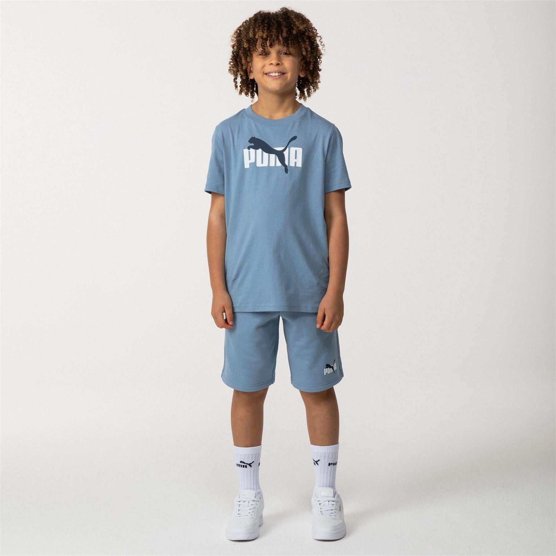 Zen Blue - Pack Shot - Puma Childrens-Kids Essentials Lab Logo T-Shirt