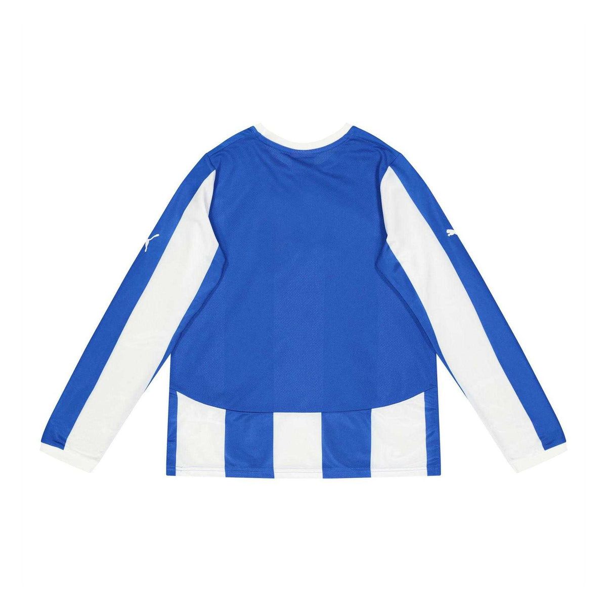 Blue - Back - Puma Childrens-Kids Long-Sleeved Training Jersey