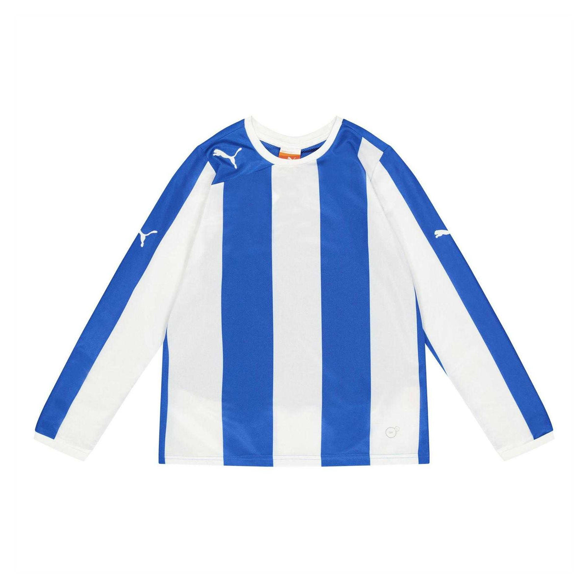 Blue - Front - Puma Childrens-Kids Long-Sleeved Training Jersey