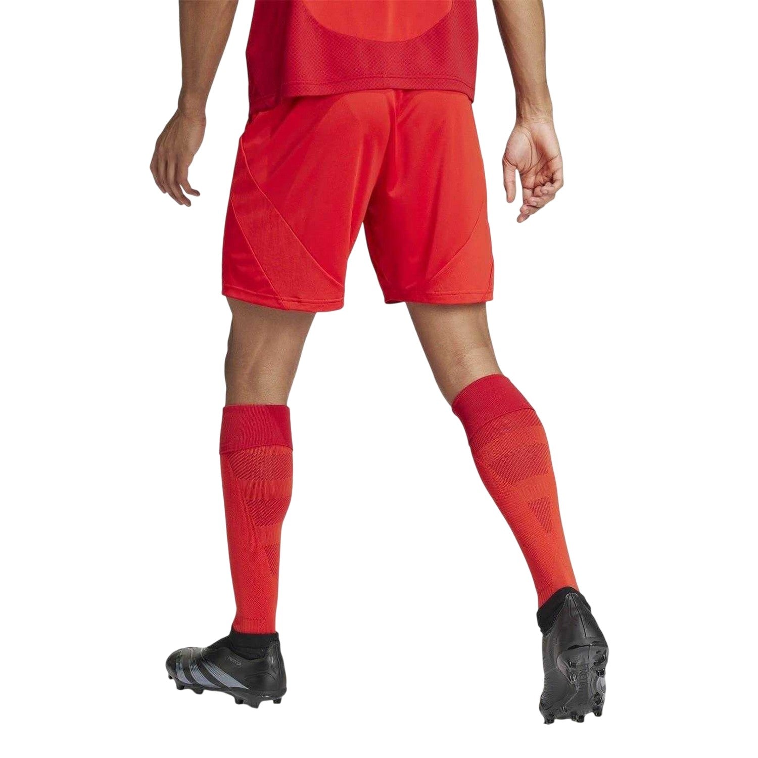 Red - Back - Adidas Unisex Adult 2024-2025 FC Bayern Munich Football Shorts