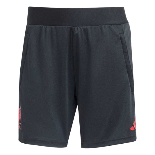 Black - Front - Adidas Womens-Ladies 2025-2026 Liverpool FC Training Shorts