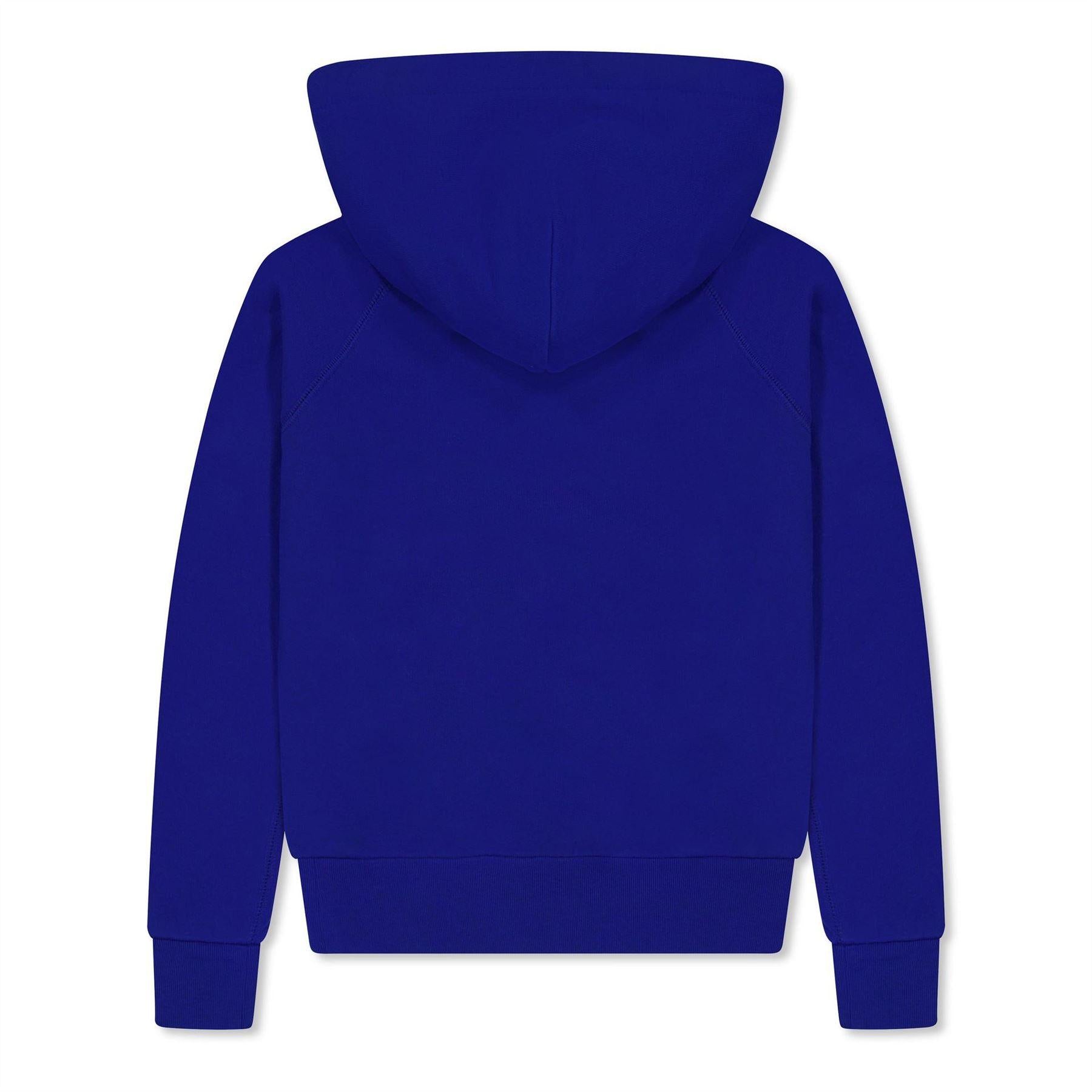Blue Sapphire - Back - Ralph Lauren Childrens-Kids Polo Hoodie