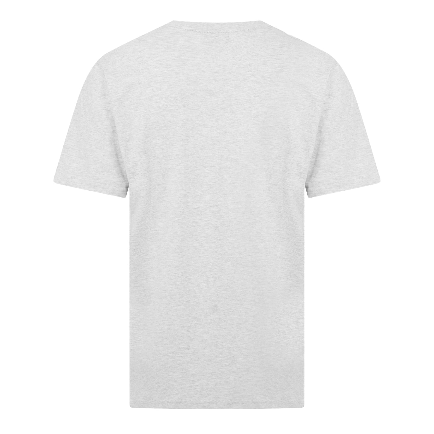 Ecru Marl - Back - Threadbare Unisex Adult Greenhill Regular T-Shirt