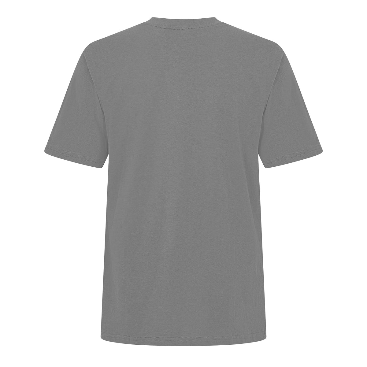 Slate - Back - Threadbare Mens Angeloni Regular T-Shirt
