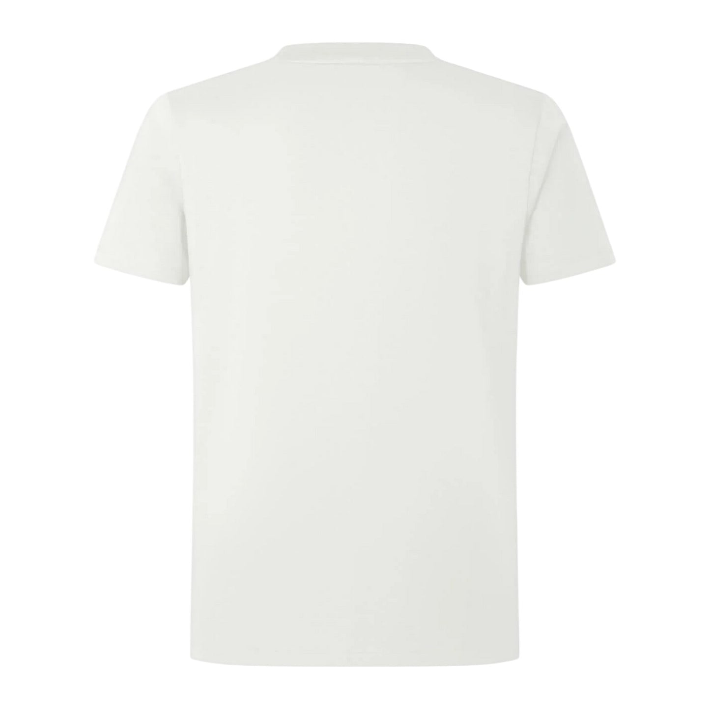 Egret - Back - British & Irish Lions Mens 2024 British & Irish Lions T-Shirt