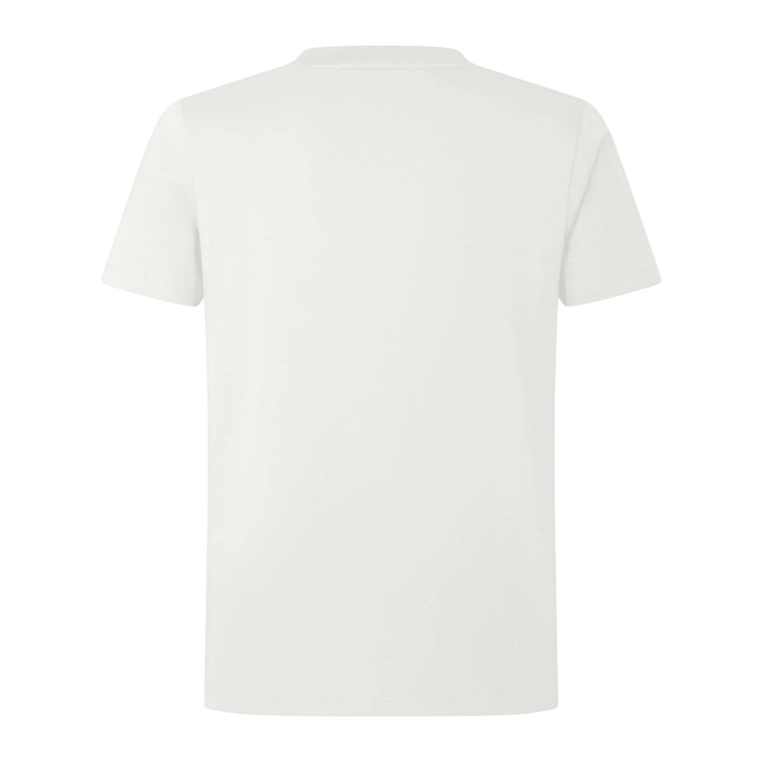 Egret - Back - British & Irish Lions Mens 2024 British & Irish Lions T-Shirt