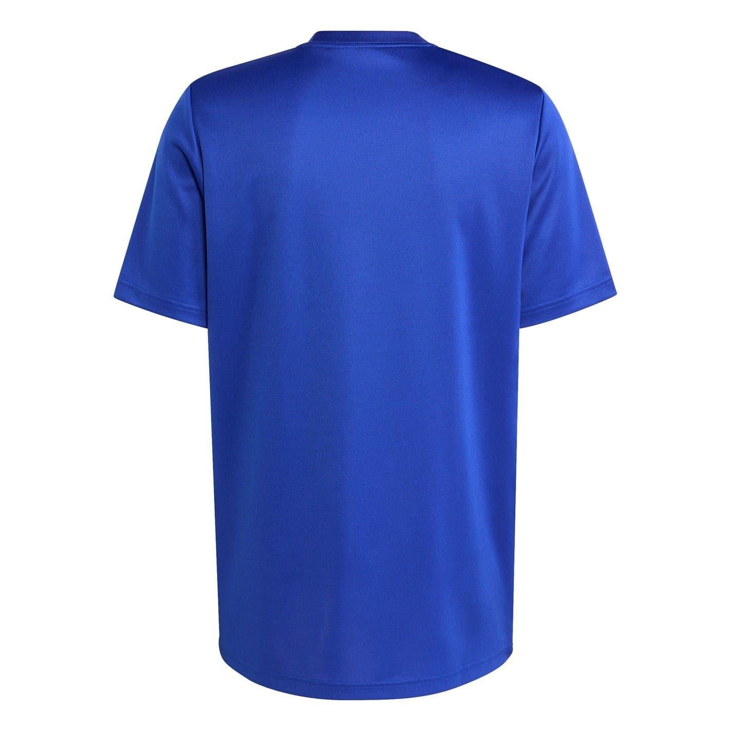 Team Royal Blue - Back - Adidas Unisex Adult 2025 France FFR T-Shirt