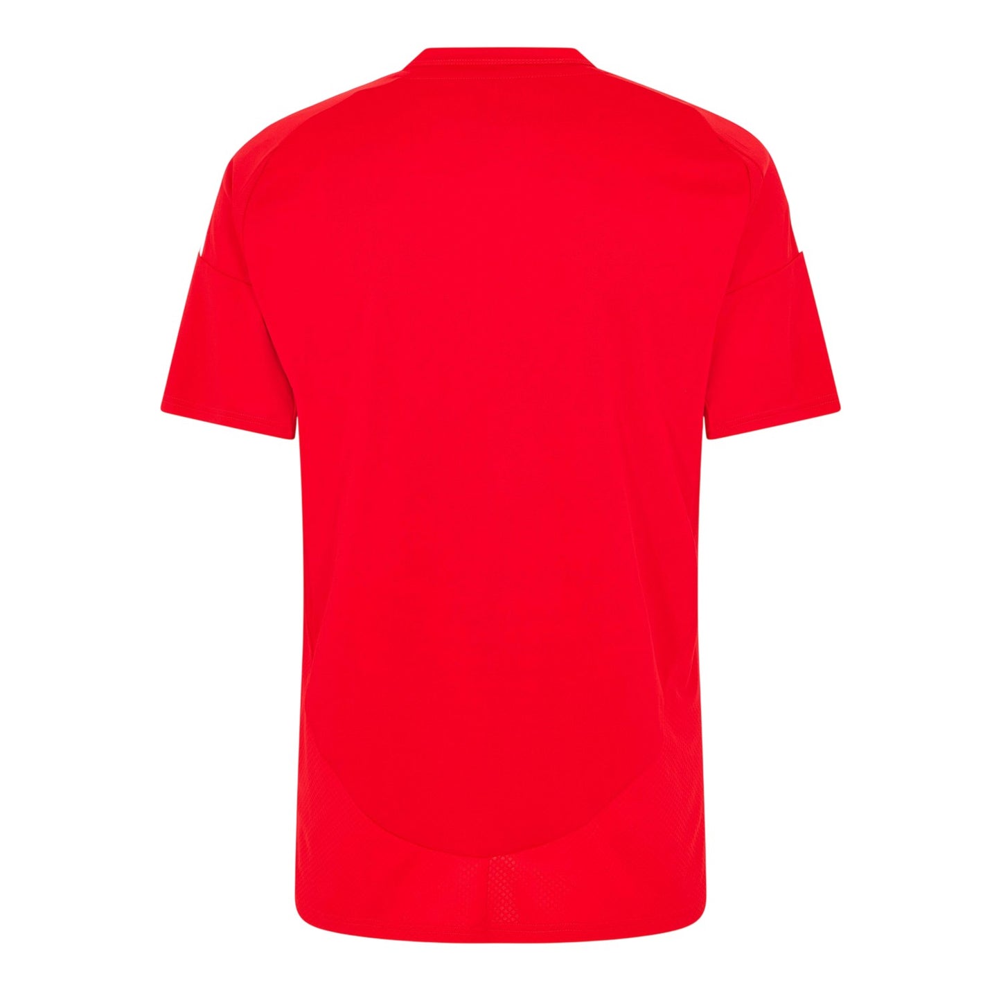 Team Power Red - Back - Adidas Mens 24-25 SL Benfica Home Jersey