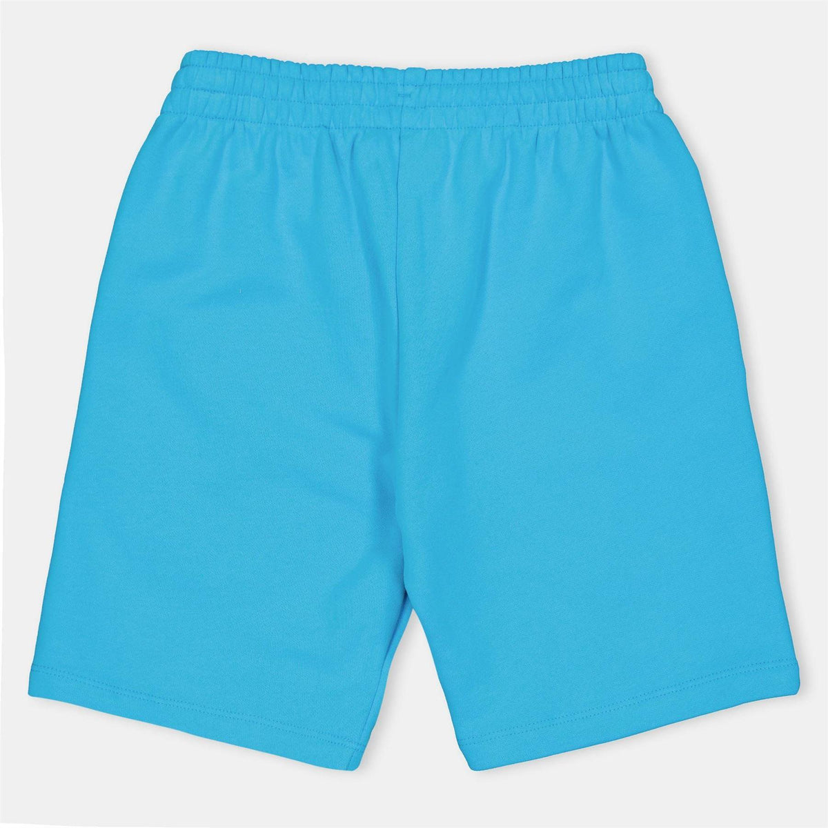 Turquoise - Back - Pangaia Childrens-Kids 365 Long Length Shorts