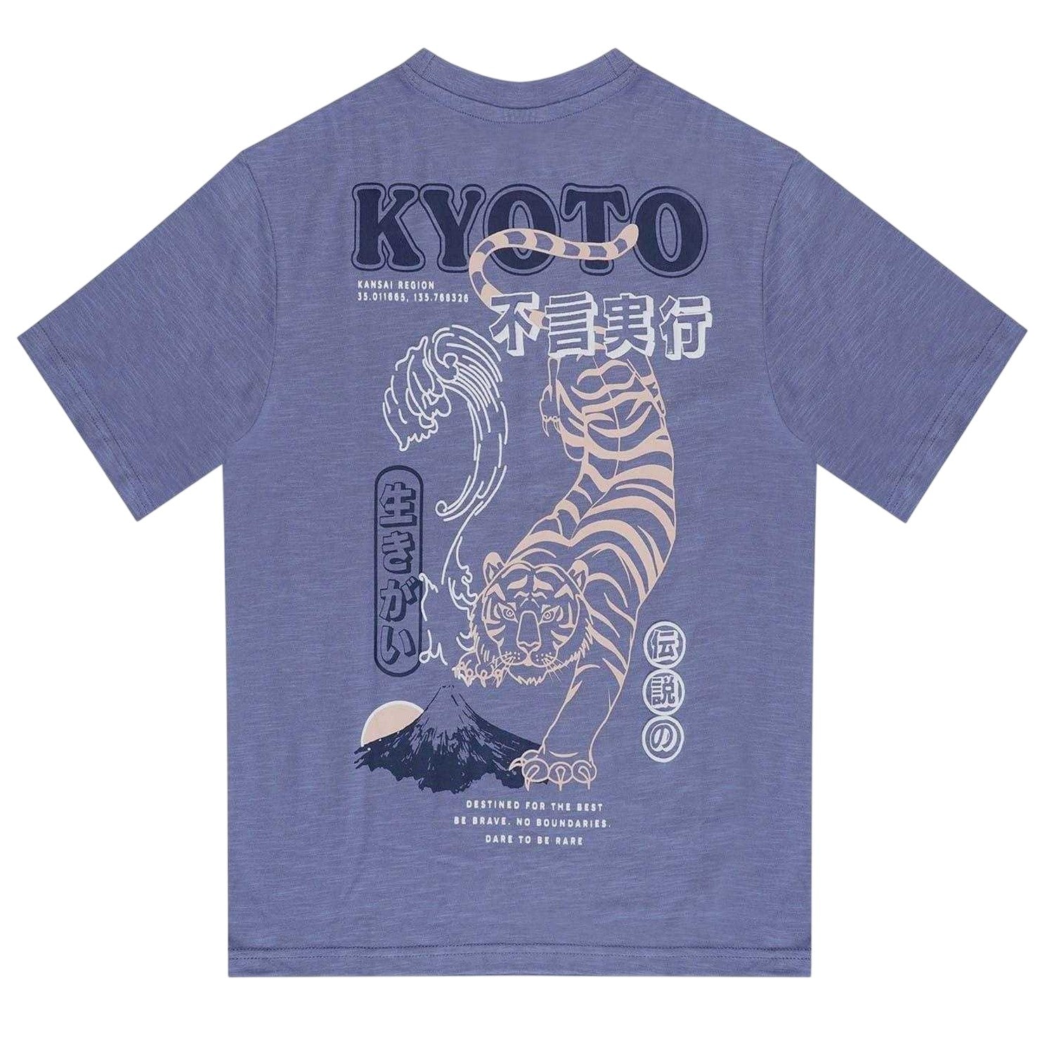 Blue - Back - Firetrap Childrens-Kids Japan Stripes T-Shirt (Pack of 2)