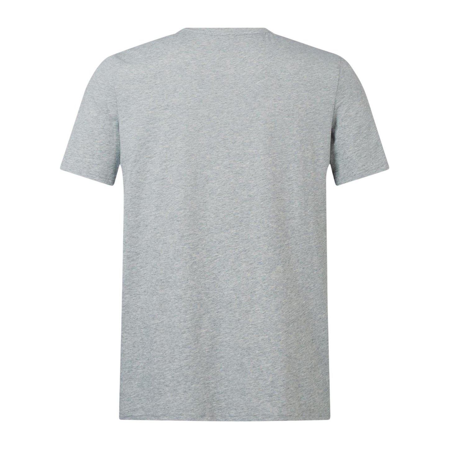 Grey Marl - Back - Canterbury Mens Monument 2024 British & Irish Lions T-Shirt