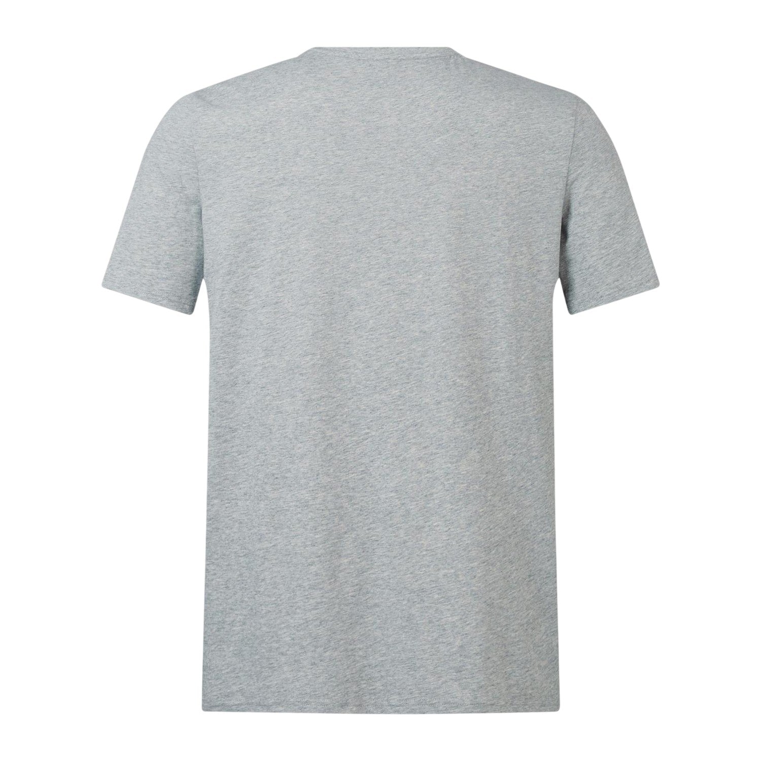 Grey Marl - Back - Canterbury Mens Monument 2024 British & Irish Lions T-Shirt
