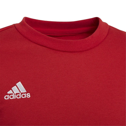 Red - Lifestyle - Adidas Childrens-Kids Entrada 22 Sweatshirt